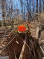0 Brown Creek Road - Photo 25