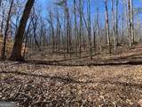 0 Brown Creek Road - Photo 7