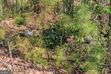 19/20 Summer Cove Road - Photo 7