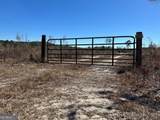 2840 Bay Branch Road - Photo 2