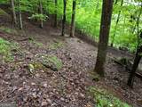 LOT 71 Chicory Drive - Photo 9