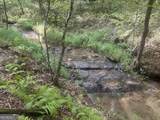 125 Winding Creek Road - Photo 34