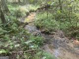 125 Winding Creek Road - Photo 35