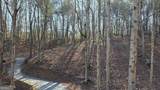 136 Red Oak Trail - Photo 3
