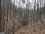 0 Johnson Mountain Road - Photo 13