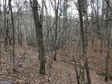 0 Johnson Mountain Road - Photo 14