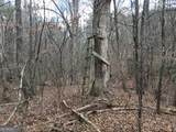 0 Johnson Mountain Road - Photo 16