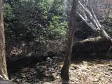 0 Johnson Mountain Road - Photo 21