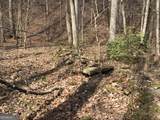 0 Johnson Mountain Road - Photo 26