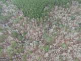 0 Johnson Mountain Road - Photo 36