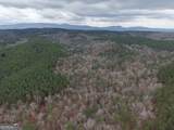 0 Johnson Mountain Road - Photo 39