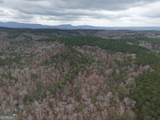 0 Johnson Mountain Road - Photo 41