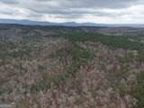 0 Johnson Mountain Road - Photo 42