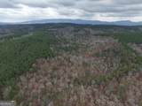 0 Johnson Mountain Road - Photo 43