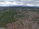 0 Johnson Mountain Road - Photo 45
