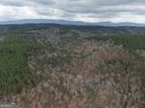 0 Johnson Mountain Road - Photo 46
