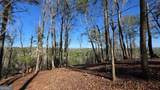 153 Rhondas Way - Photo 4