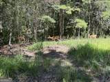55 Elmwood Circle - Photo 8
