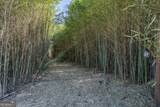 LOT 1 Ben Giddens Road - Photo 8