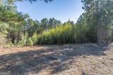 LOT 1 Ben Giddens Road - Photo 9