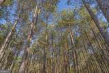 LOT 2 Ben Giddens Road - Photo 10