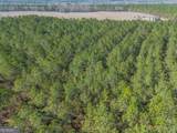 LOT 2 Ben Giddens Road - Photo 4