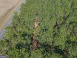 LOT 2 Ben Giddens Road - Photo 6
