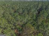 LOT 3 Ben Giddens Road - Photo 3