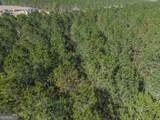LOT 3 Ben Giddens Road - Photo 4