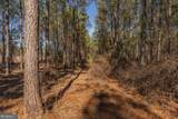 LOT 3 Ben Giddens Road - Photo 8