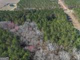 LOT 4 Ben Giddens Road - Photo 6
