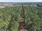 LOT 5 Golf Course Road - Photo 4