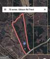 0 Gibson Road - Photo 12