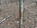 0 Gibson Road - Photo 31