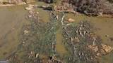 0 Cahaba Shoals Drive - Photo 6