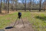 7329 Houston Road - Photo 24