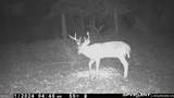 7329 Houston Road - Photo 39