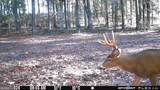 7329 Houston Road - Photo 40