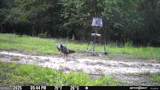 7329 Houston Road - Photo 45