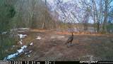 7329 Houston Road - Photo 46