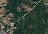 6940 Oak Crossing Road - Photo 3