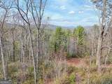 421 Hickory Nut Mtn - Photo 87