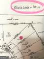LOT 10 Olivia Lane - Photo 4