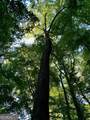 LOT 7 Highpoint Ridge Road - Photo 28