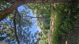 LOT 2 Snote Jones Road - Photo 16