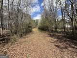 0 Lowery Rd (3.94 Ac) - Photo 4