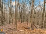 LOT 5 Mount Mincie Road - Photo 8