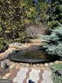2810 Barimore Place - Photo 41