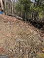 0 Eastman Mtn Road - Photo 4