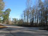 391 Hog Liver Road - Photo 11